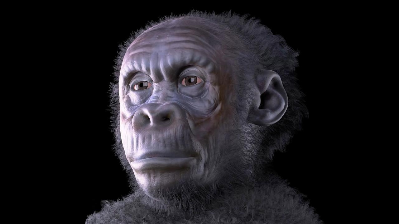 What Are The Things That Make You Human? Exploring Our Unique Essence