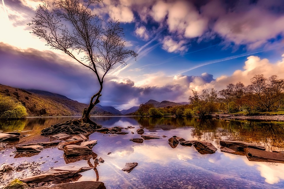 Best Cars 2024 Reddit India - Joyan Malvina