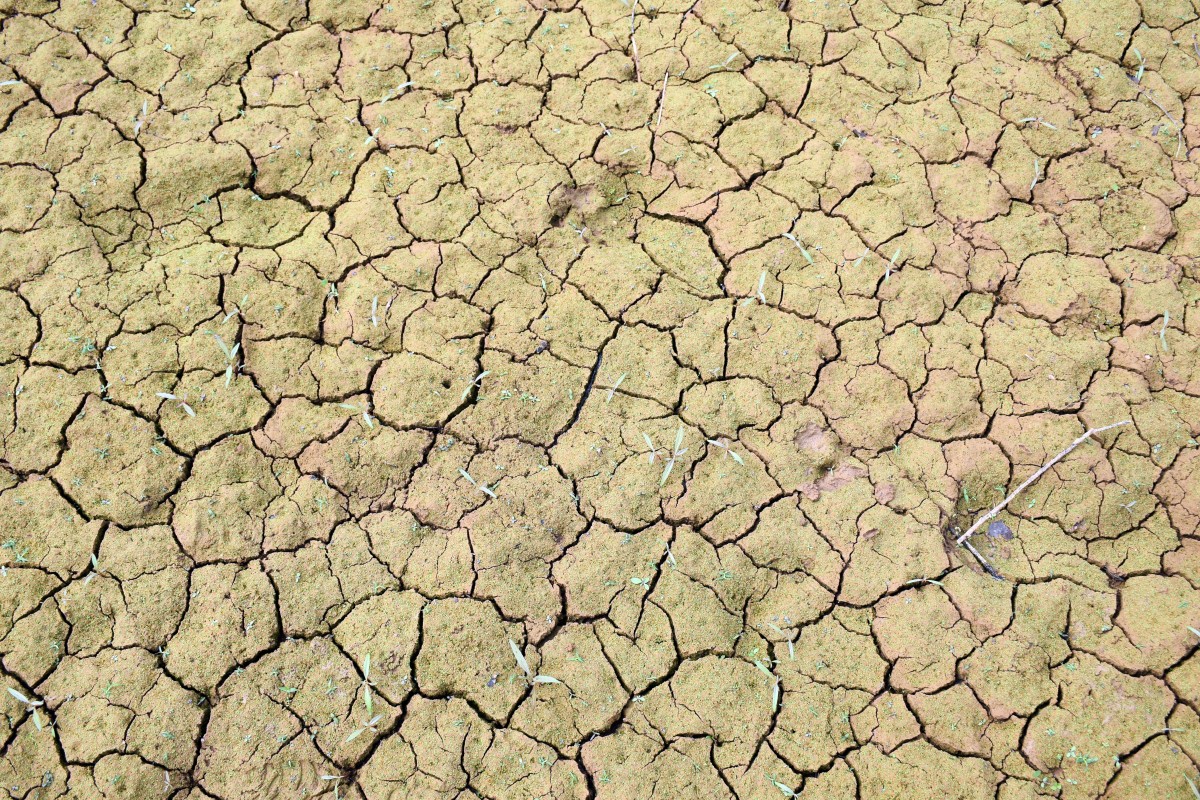 Environmental impacts Environmental impacts